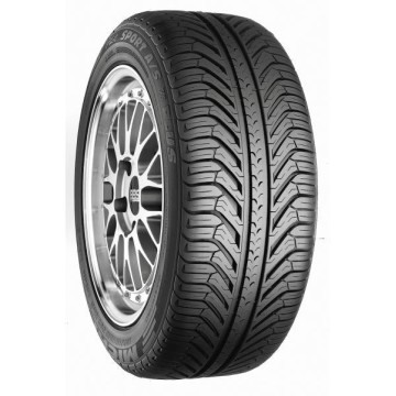 MICHELIN PILOT SPORT A/S PLUS 255/45R19 100V négyévszakos gumiabroncs